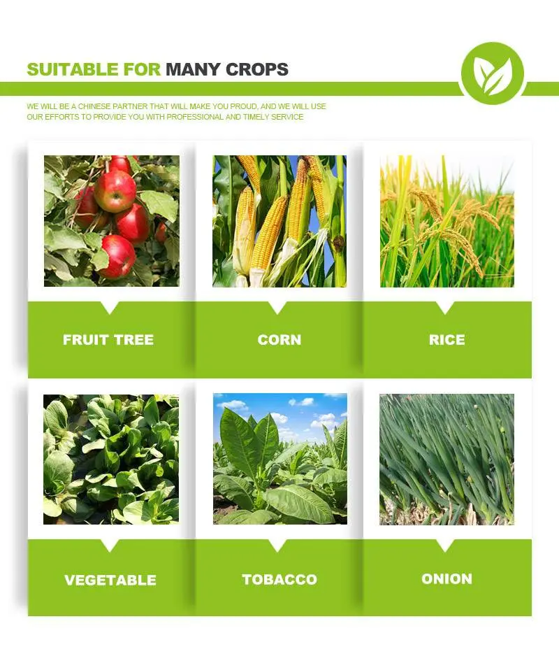 Thiocyclam insecticide
