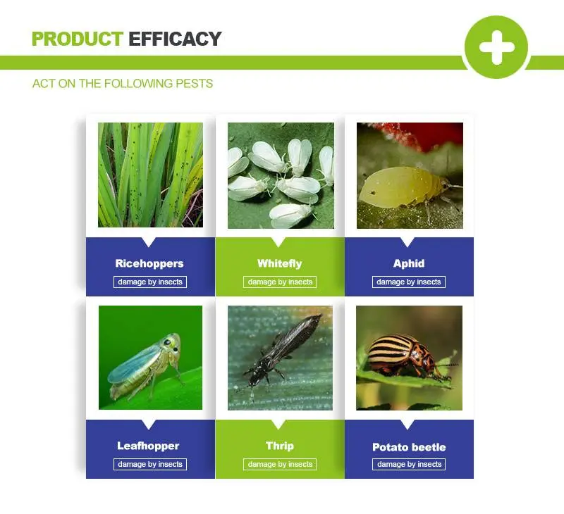 imidacloprid for pests