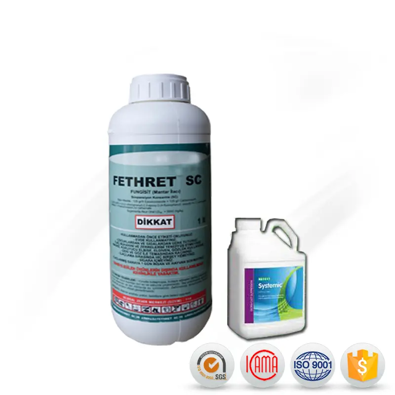 China Cheap price Fungicide Mancozeb - soil fumigants bavistin fungicide fungicide carbendazim 50 wp&50%sc price – AgeruoBiotech detail pictures