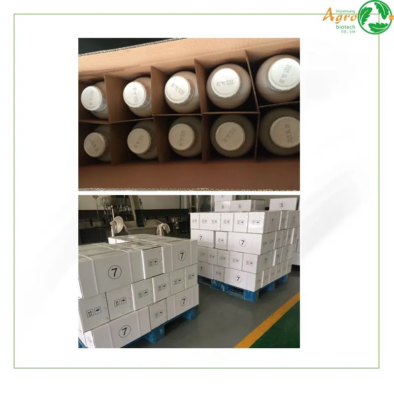 OEM manufacturer Price Alpha Cypermethrin -  High Effective Alpha-cypermethrin 10% EC from China supplier - AgeruoBiotech