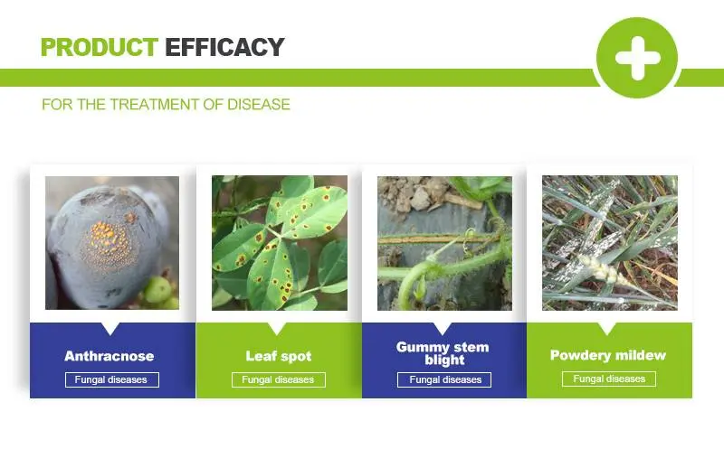 propiconazole in Fungicide
