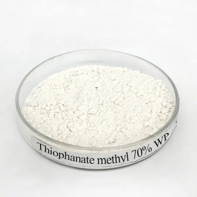 OEM/ODM Manufacturer Abamectin 3.6 Ec - Fungicide Thiophanate methyl 70% WP Cure Bacterial Infection in varieties Crops – AgeruoBiotech