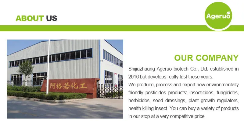 Shijiazhuang-Ageruo-Biotech-4