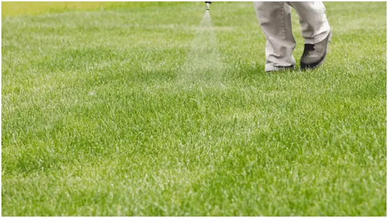 glyphosate acid for weeds