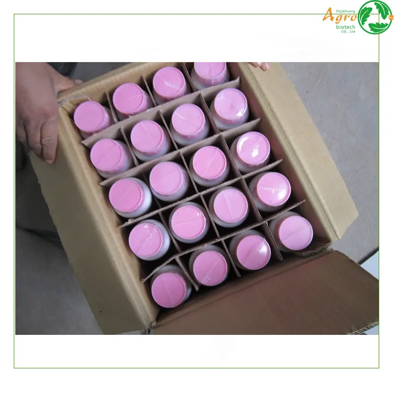 Excellent quality Amitraz Bees - Benomyl benlate fungicide 50% wp 95% tc for verticillium – AgeruoBiotech detail pictures