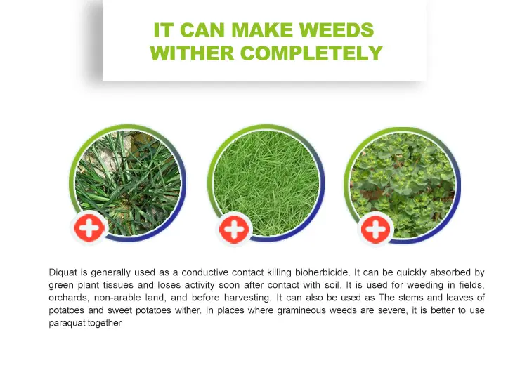 Diquat fungal disease
