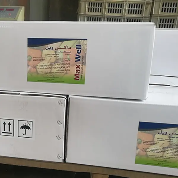 OEM/ODM Manufacturer Metribuzin - Factory Supply 99% Original Powder Abt-199 CAS 1257044-40-8 with Safe Delivery – AgeruoBiotech detail pictures
